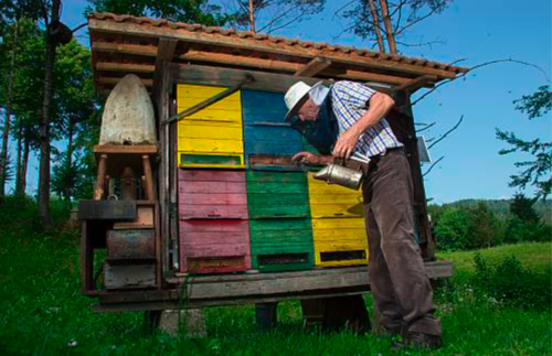 beekeeping in Slovenia