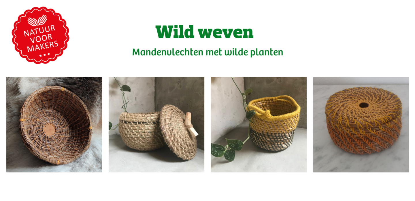 Wild weven: Een lerend netwerk van mandenvlechters met wilde planten in Vlaanderen opbouwen.