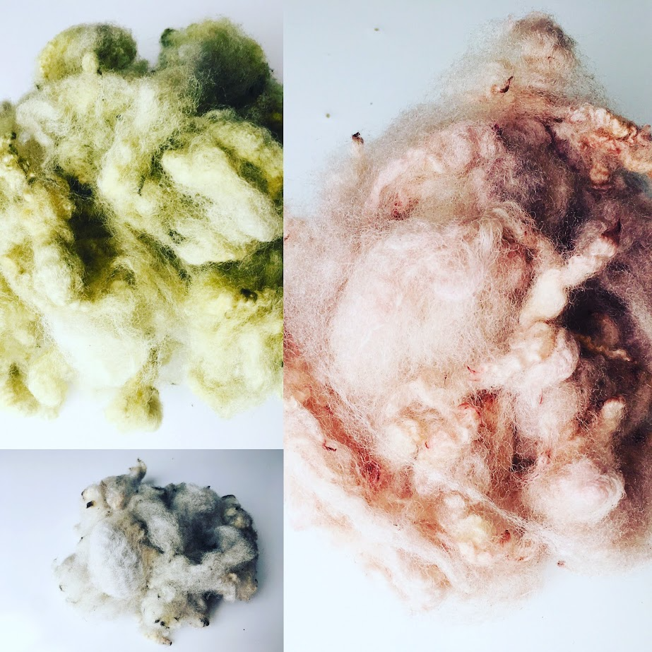 Wol geverfd met wedezaad Wol geverfd met wedezaad